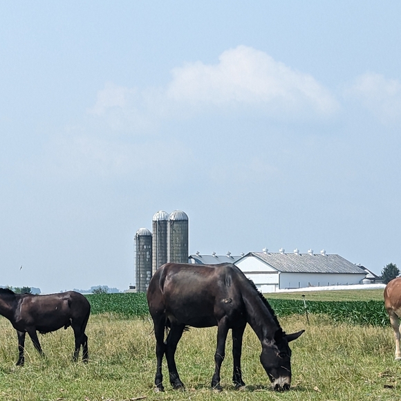 Welcome 👋 😊 - Picture 11 of 15